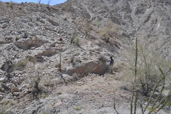 :Borrego Earthquake:new Fletcher photos:DSC_0148.jpg
