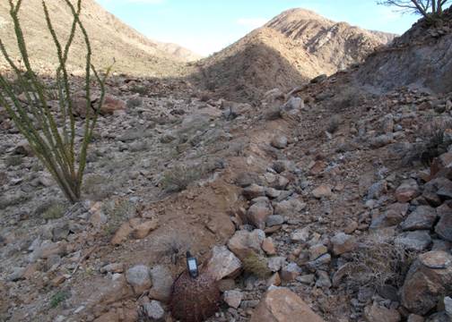 :Borrego Earthquake:Galetzka Pescadores photos:view southeast on pescadores fault, fresh bedrock scarp in background.jpeg