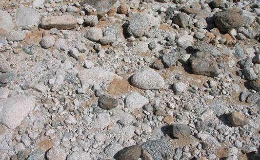 :Borrego Earthquake:4th week mapping again:displaced stones.jpg