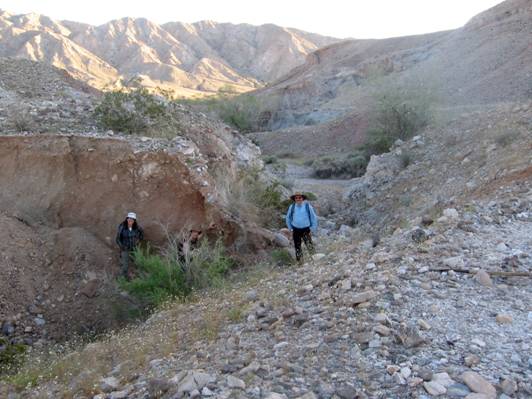 :Borrego Earthquake:Borrego offset channel.jpg