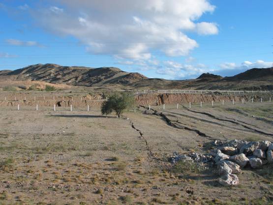 :Borrego Earthquake:Borrego Earthquake Day 1 and 2:IMG_0332.JPG