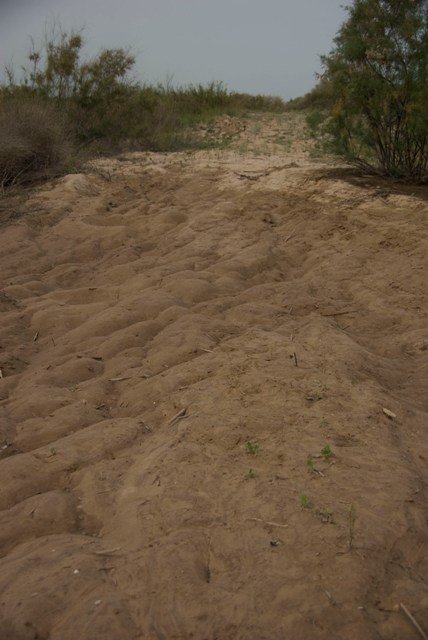 Baja10_Fig5-5
